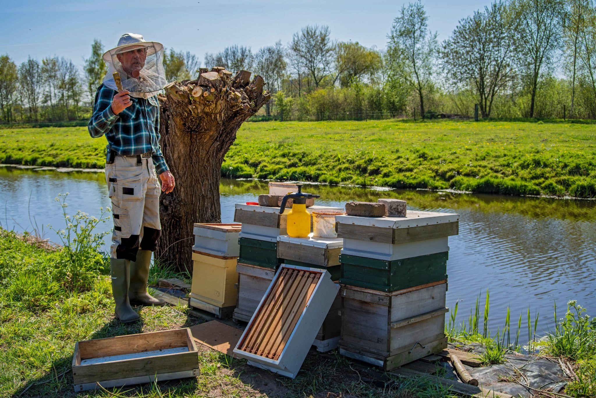 beekeeping-for-seniors.jpg beekeeping-for-seniors.jpg