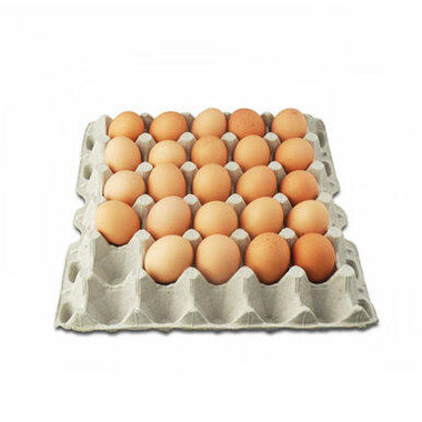 Egg Filler Flats,PP529, Mann Lake Ltd.