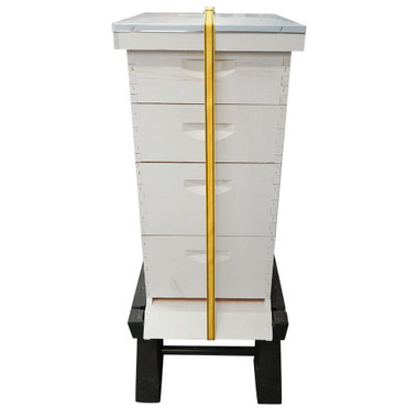 Camlock Tie Down Strap,HD815, Mann Lake Ltd.