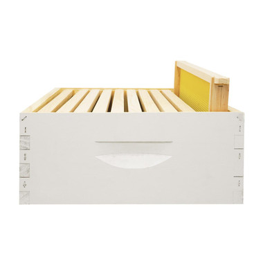 Assembled 6 5/8" Super Kit with Assembled Frames and Waxed Plastic Foundation,Z196, Mann Lake Ltd.